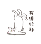 white eye yoga cat（個別スタンプ：16）