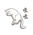 white eye yoga cat（個別スタンプ：17）