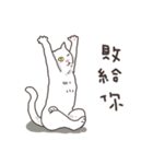 white eye yoga cat（個別スタンプ：19）