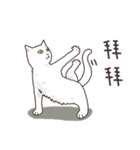 white eye yoga cat（個別スタンプ：20）