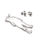 white eye yoga cat（個別スタンプ：24）