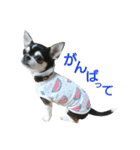スムチーのハナちん（個別スタンプ：2）