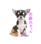 スムチーのハナちん（個別スタンプ：3）