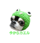 スムチーのハナちん（個別スタンプ：7）