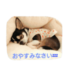 スムチーのハナちん（個別スタンプ：9）