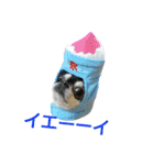 スムチーのハナちん（個別スタンプ：10）