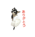 スムチーのハナちん（個別スタンプ：11）