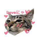 妹んとこの猫〜叔母さんの愛が止まらない〜（個別スタンプ：2）