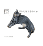 妹んとこの猫〜叔母さんの愛が止まらない〜（個別スタンプ：9）