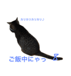妹んとこの猫〜叔母さんの愛が止まらない〜（個別スタンプ：10）