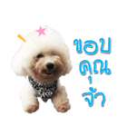 Pungkang and Dolla Happy Dogs（個別スタンプ：4）