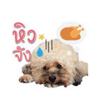 Pungkang and Dolla Happy Dogs（個別スタンプ：5）