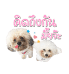 Pungkang and Dolla Happy Dogs（個別スタンプ：6）