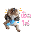 Pungkang and Dolla Happy Dogs（個別スタンプ：7）
