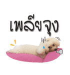 Pungkang and Dolla Happy Dogs（個別スタンプ：9）