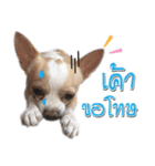 Pungkang and Dolla Happy Dogs（個別スタンプ：15）