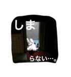 ひこぼしまちゃーん（個別スタンプ：16）