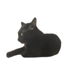 ねこた〜ちpart3（個別スタンプ：9）