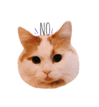 くうとはな（個別スタンプ：4）