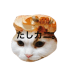 くうとはな（個別スタンプ：11）