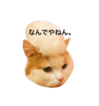 くうとはな（個別スタンプ：12）