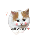 くうとはな（個別スタンプ：16）