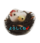 キンカチョウと鶏の毎日（個別スタンプ：6）