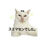 つぶみるつきスタンプ3（個別スタンプ：8）