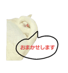 つぶみるつきスタンプ3（個別スタンプ：15）
