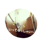 つぶみるつきスタンプ3（個別スタンプ：20）