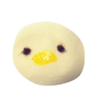 ひよこさんの集まり（個別スタンプ：4）