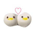 ひよこさんの集まり（個別スタンプ：6）