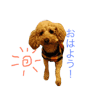 ココアLove（個別スタンプ：4）