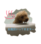 ココアLove（個別スタンプ：6）