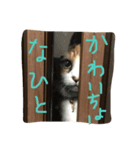 おきゃわなミイちゃん（個別スタンプ：4）
