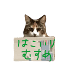 おきゃわなミイちゃん（個別スタンプ：7）