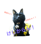 しえるとにゃこぽぅ 〜猫〜（個別スタンプ：2）