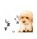 ドッグリフレオッジ6（個別スタンプ：2）