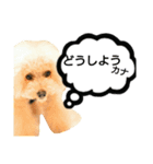 ドッグリフレオッジ6（個別スタンプ：7）