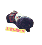 天＆アンのペキニーズ兄妹（個別スタンプ：9）