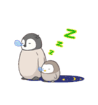 3 penguins（個別スタンプ：8）