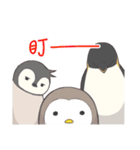 3 penguins（個別スタンプ：9）