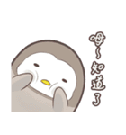 3 penguins（個別スタンプ：21）