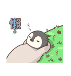 3 penguins（個別スタンプ：38）