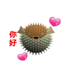 (In Chinene) CG Porcupinefish (2)（個別スタンプ：2）