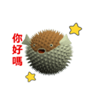 (In Chinene) CG Porcupinefish (2)（個別スタンプ：5）