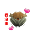 (In Chinene) CG Porcupinefish (2)（個別スタンプ：6）