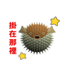(In Chinene) CG Porcupinefish (2)（個別スタンプ：7）
