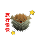 (In Chinene) CG Porcupinefish (2)（個別スタンプ：8）