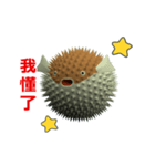(In Chinene) CG Porcupinefish (2)（個別スタンプ：11）